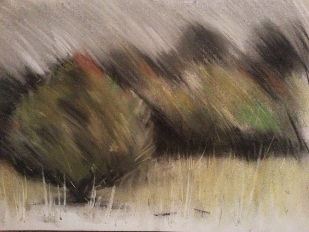 Askham Bog