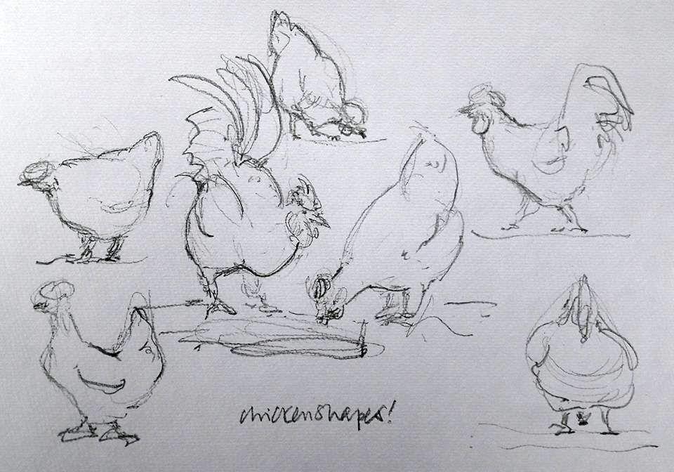 Chickens at Stillingfleet Lodge Gardens