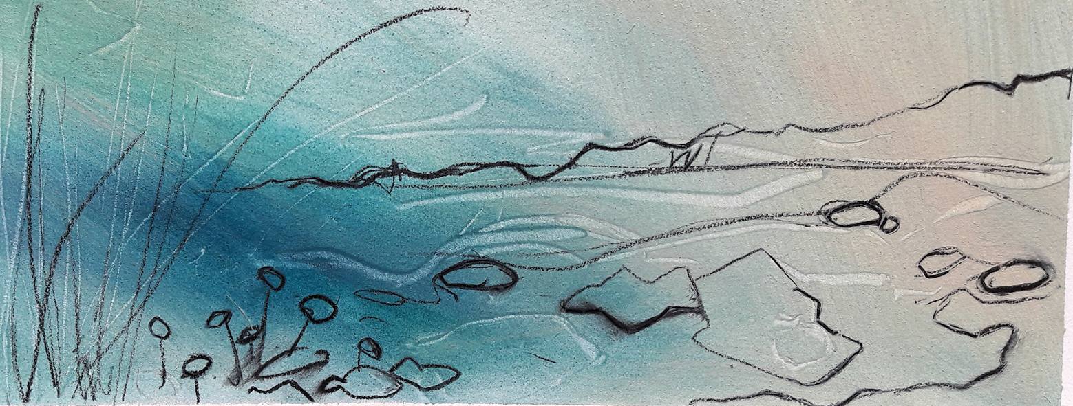 Low Newton beach. Line and movement study. oil and graphite on paper
