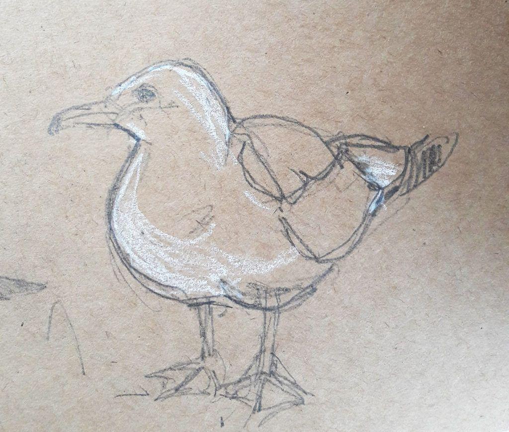 The Pasty Gull!