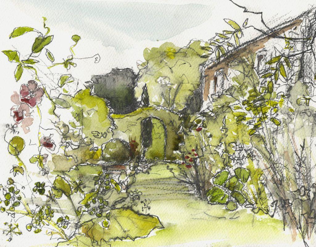 Front garden in the sunshine