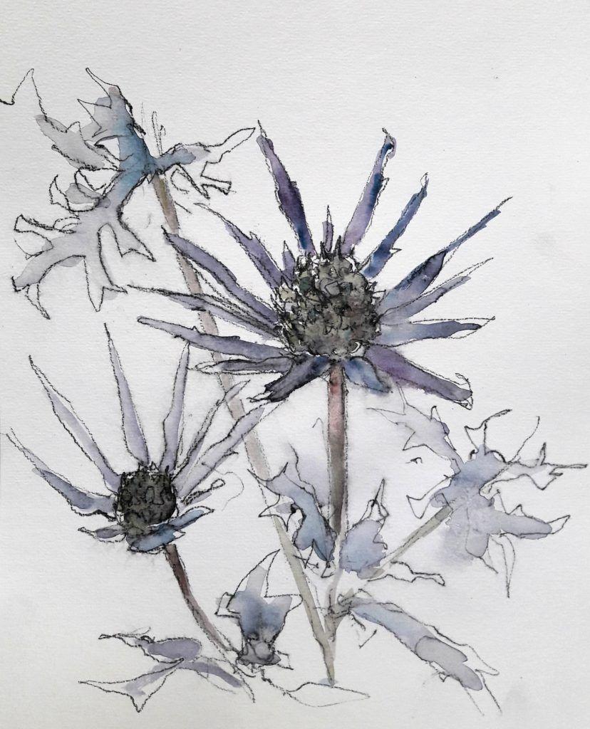 Blue thistles