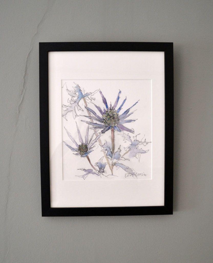 Blue Eryngiums. Original graphite and watercolour on acid-free Bockingford paper