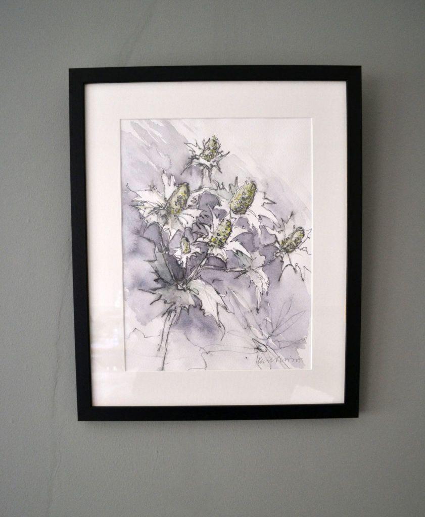 Eryngiums. Original graphite and watercolour on acid-free Bockingford paper