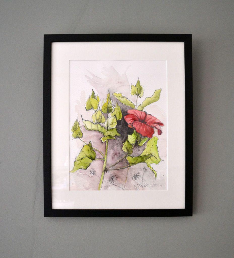 Mallow. Original graphite and watercolour on acid-free Bockingford paper