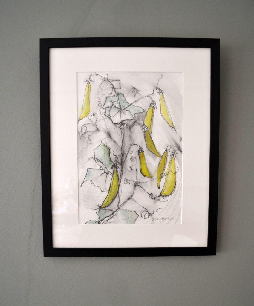 Peas. Original graphite and watercolour on acid-free Bockingford paper