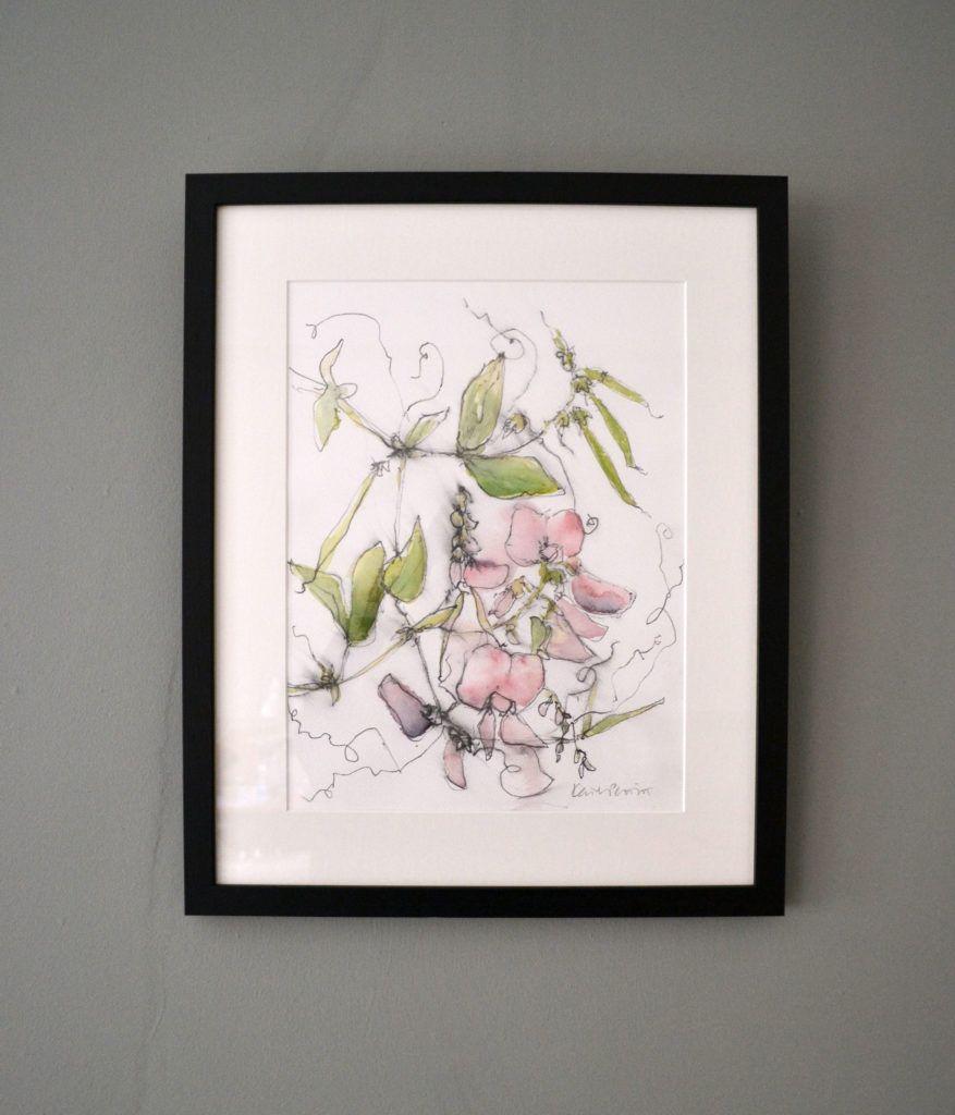 Sweet Peas. Original graphite and watercolour on acid-free Bockingford paper