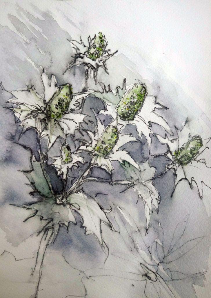 White eryngiums. Colour study