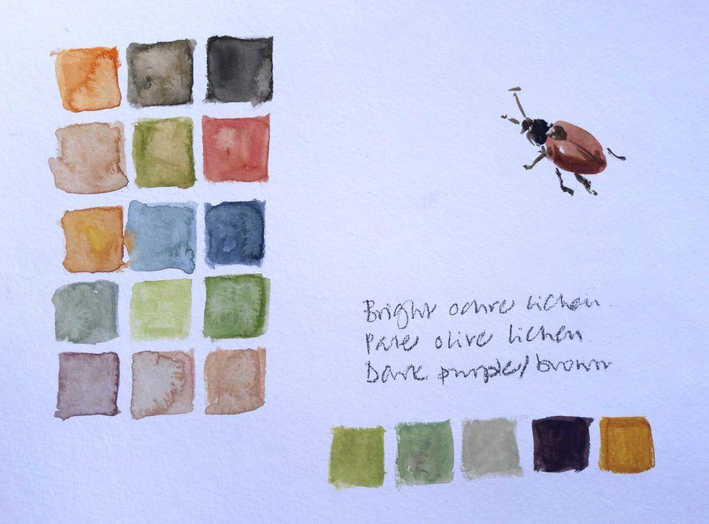 Ynys Giftan colours on a bright sunny day (and a beetle that adopted me!)