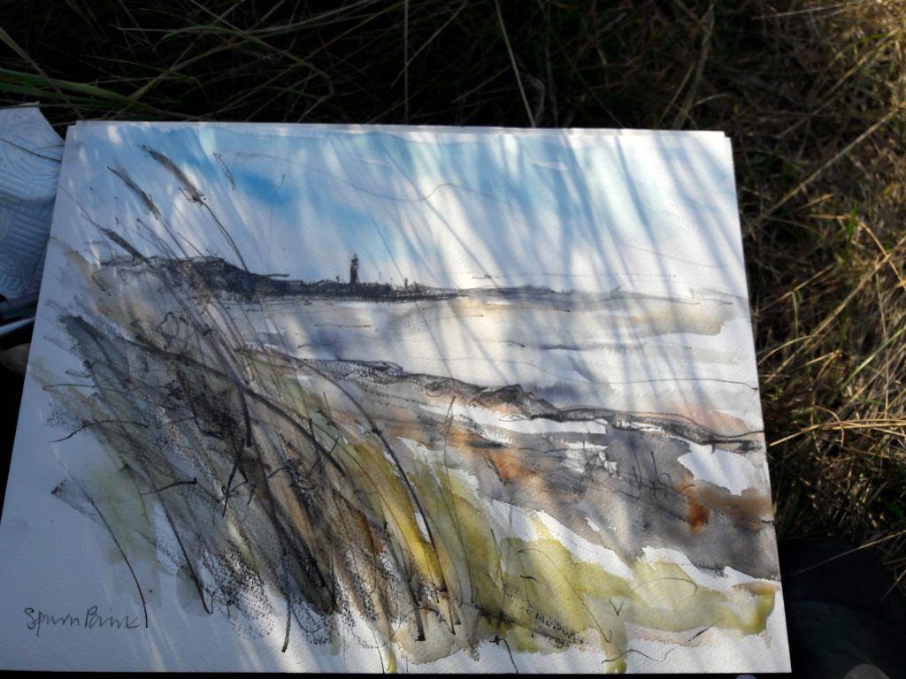 Shadows from the dune grasses dance on my sketchbook