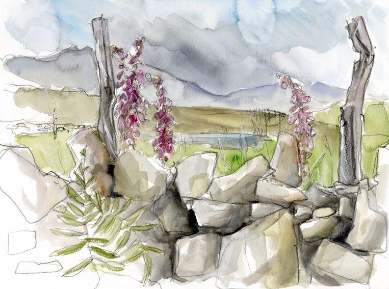 En plein air work on paper. Foxgloves in the wall, North Wales