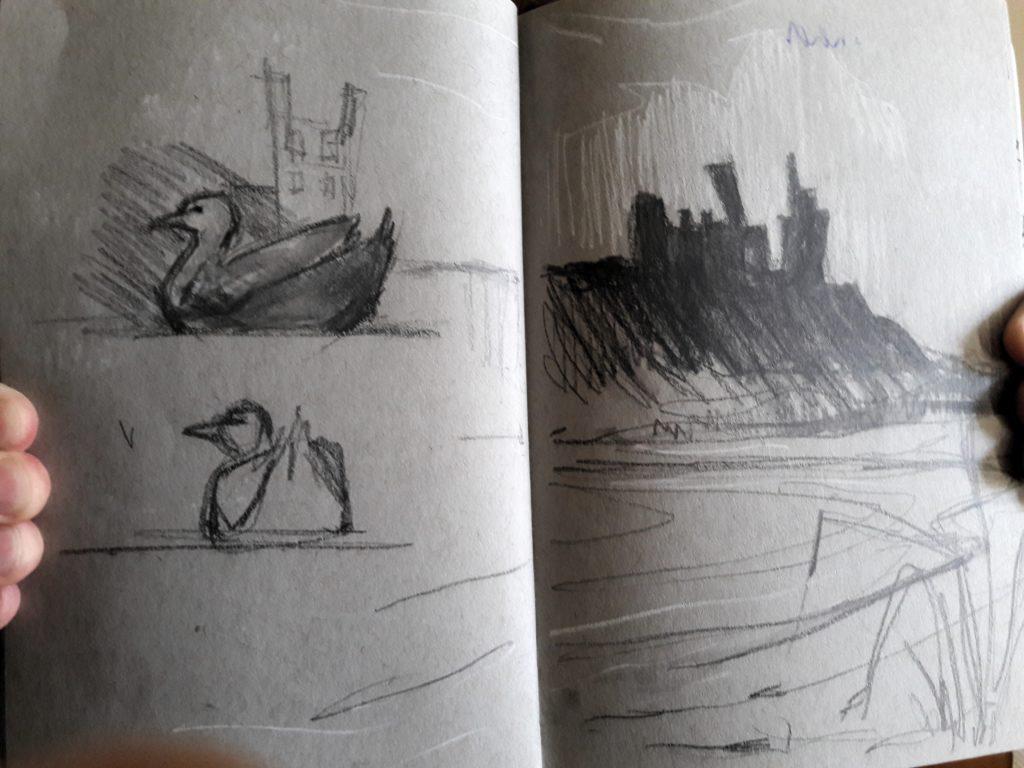 Ducks at Low Newton Pool and a silhouette of Dunstanburgh Castle in my little pocket sketch book.