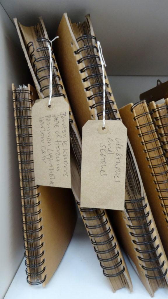 Sketch books