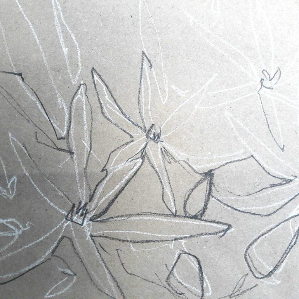Allium line and negative space study in charcoal and chalk