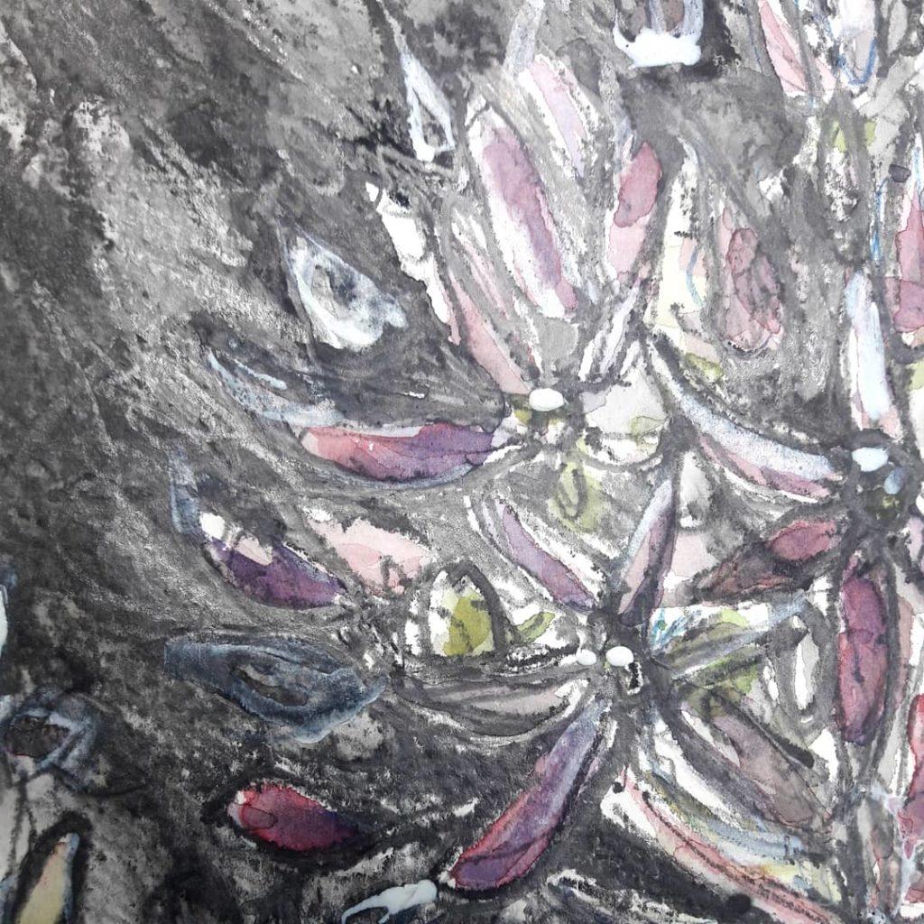 Allium study in watercolour, graphite and gouache – detail