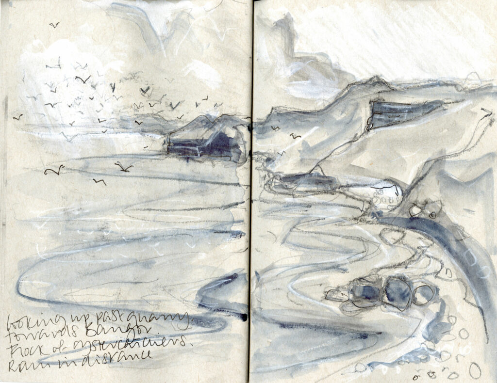 Sketch of oystercatchers at Penmon