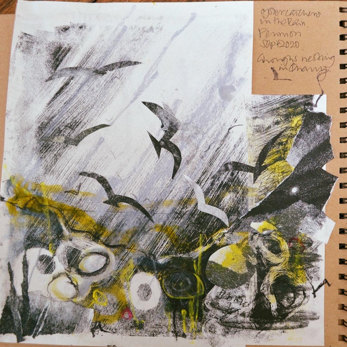 Oystercatchers. Collaging monoprints with over-painting and mark-making in ink and pastel.