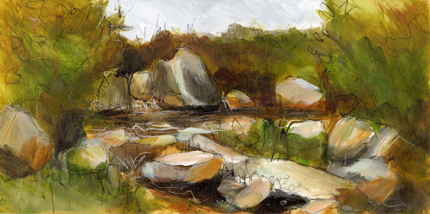 Study of a moorland river