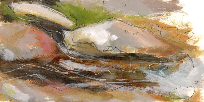 Study of a moorland river