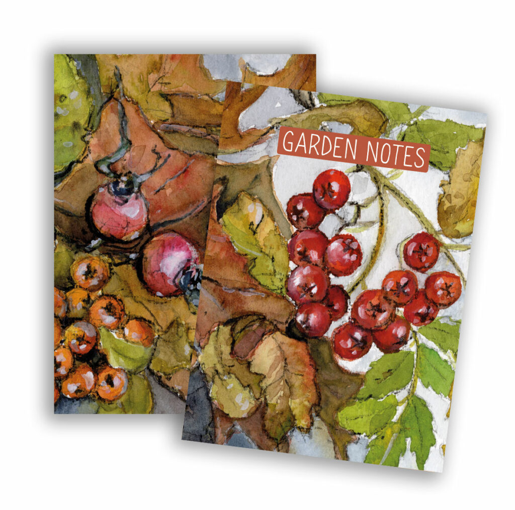 ‘Garden Notes’ A6 notebook has 40 blank pages. Uncoated recycled stock throughout. Covers are printed both sides
