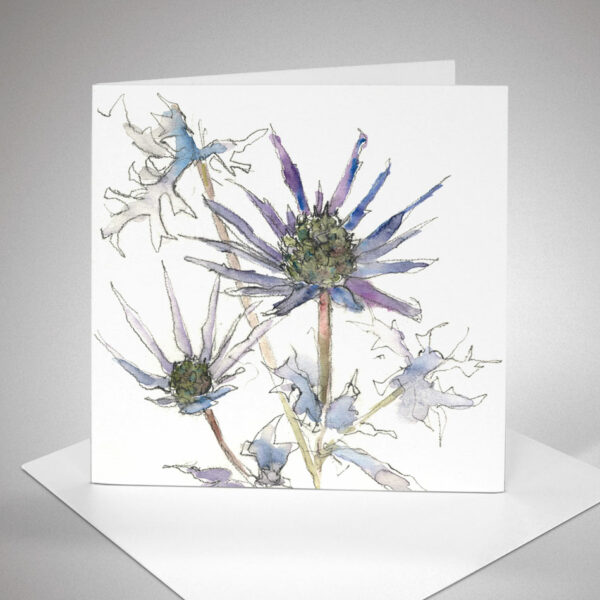 Blue Eryngiums art card