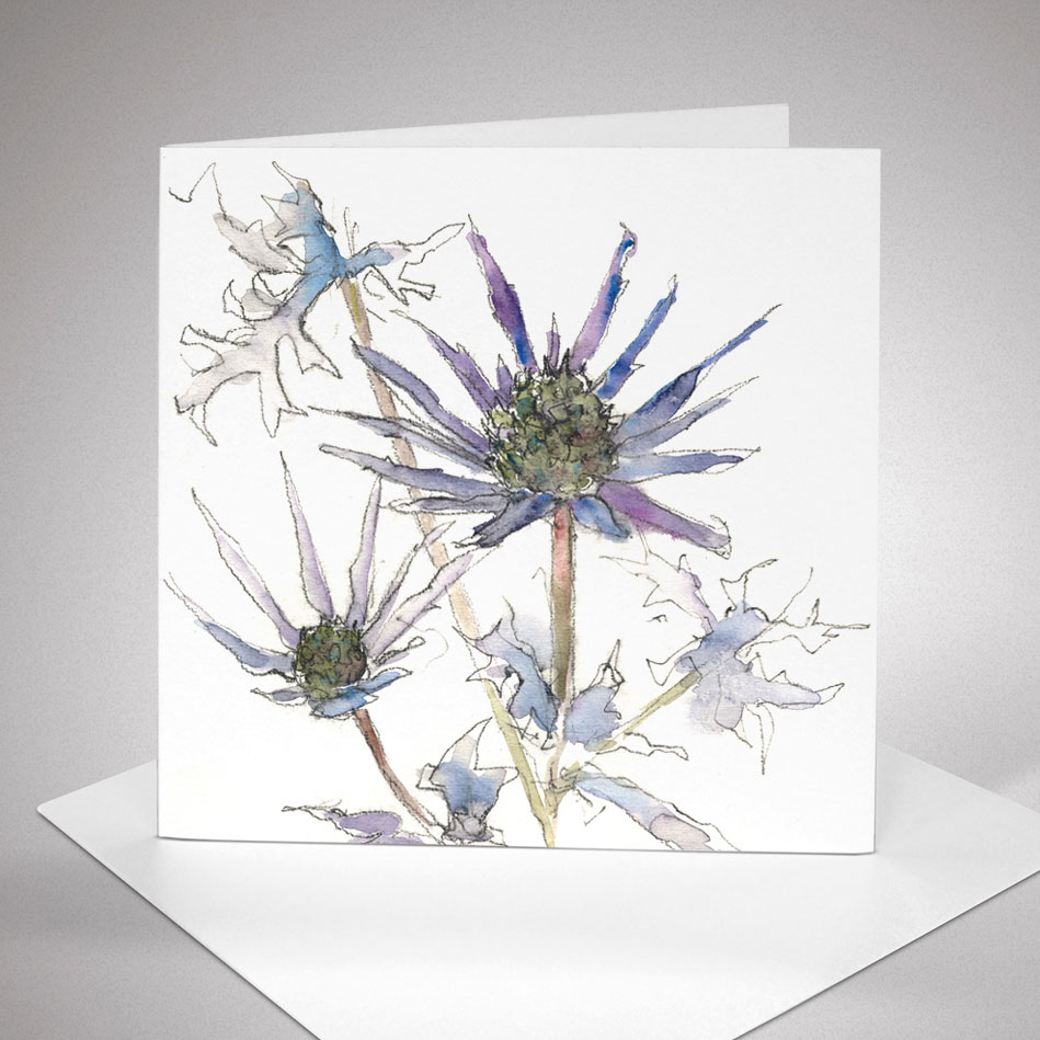 Blue Eryngiums art card