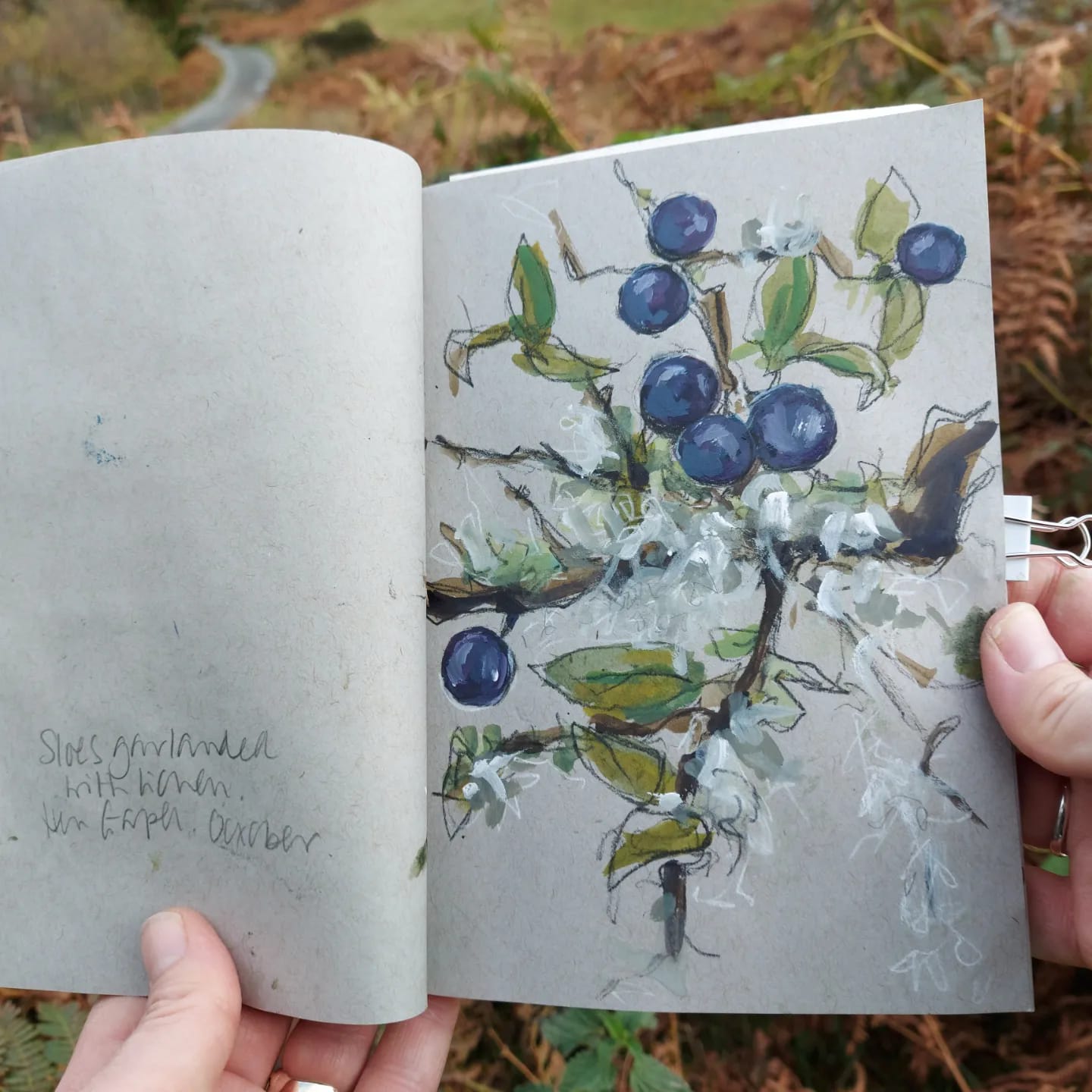 Sloe berries and lichen