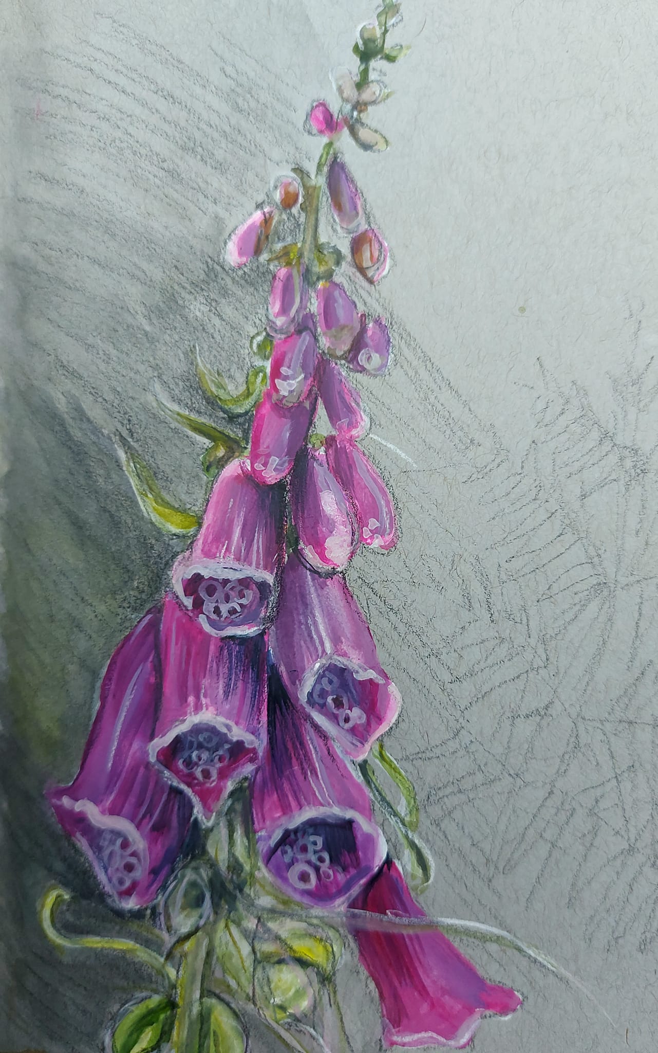 Ffion (foxglove). Watercolour, gouache, charcoal and chalk