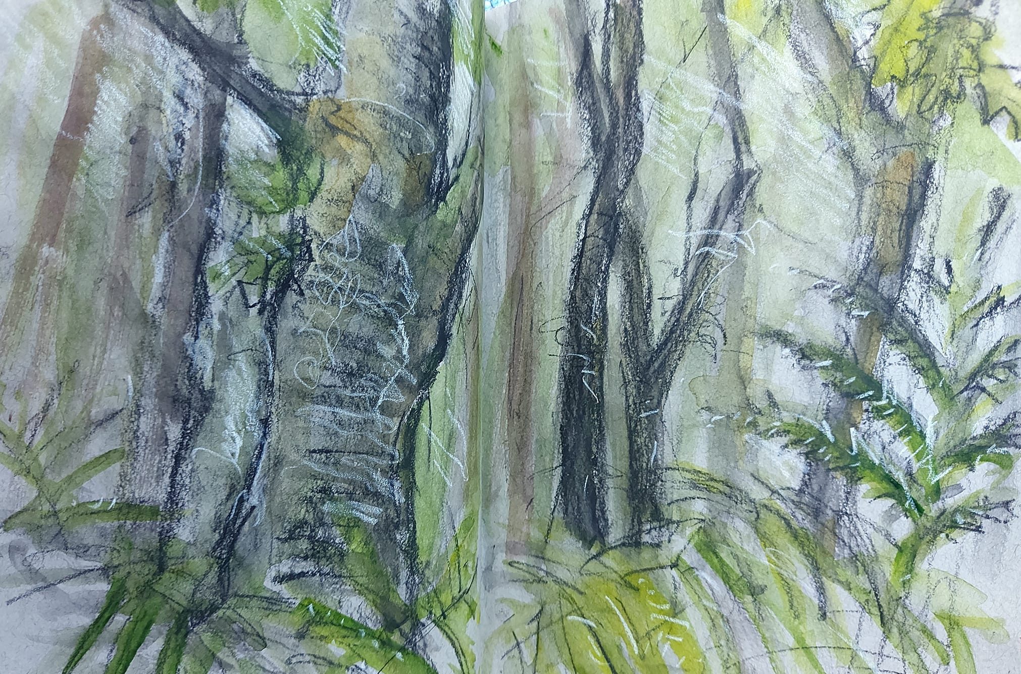 Native rainforest. Watercolour, charcoal and chalk