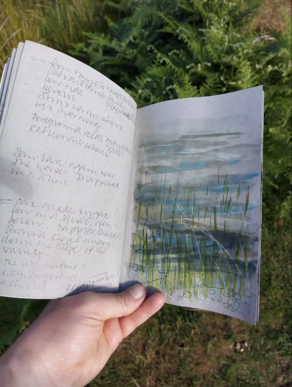 Reeds in the water. Watercolour, charcoal and chalk