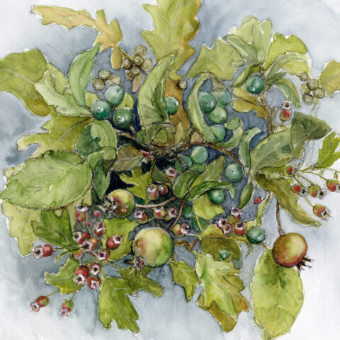 June Hedgerow. Plein air painting by Kate Pettitt